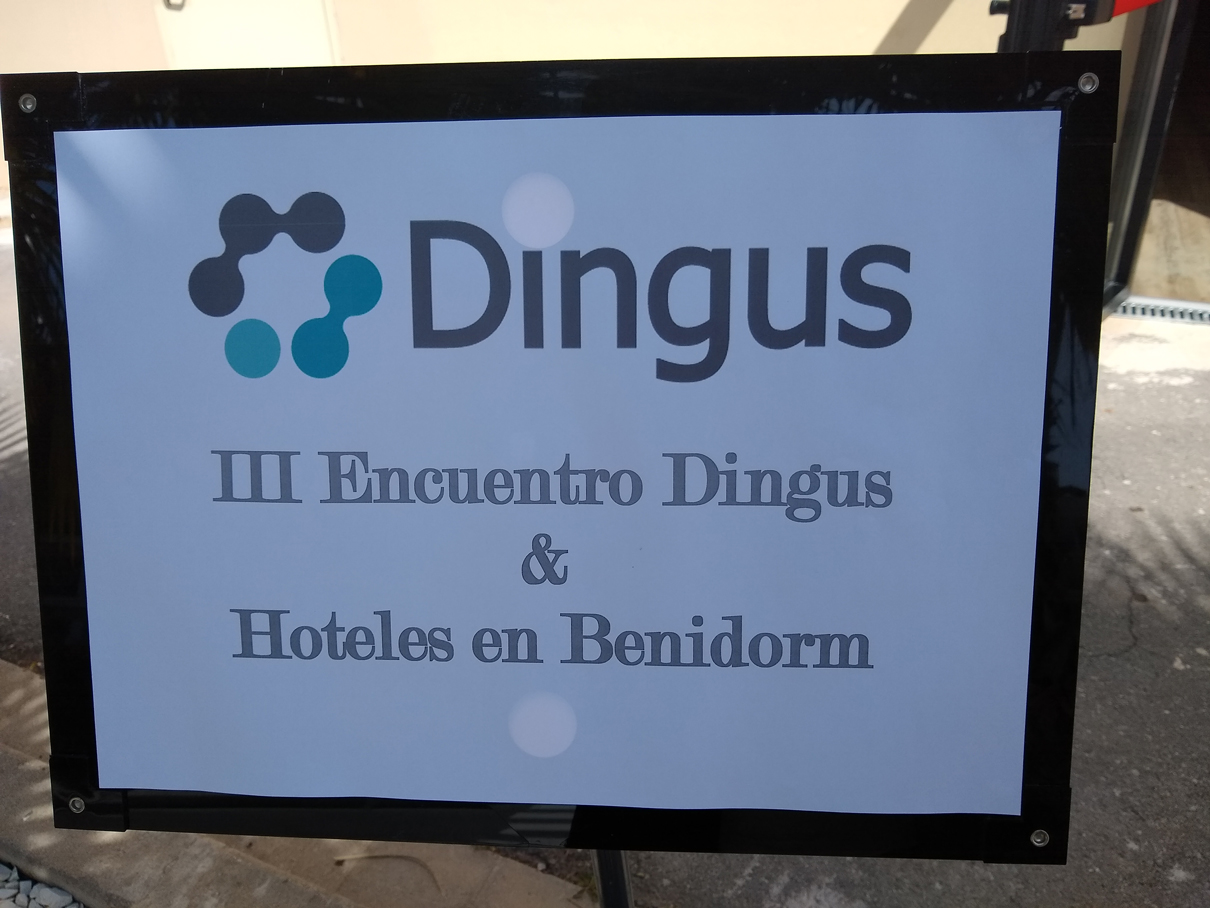 Dingus en Benidorm