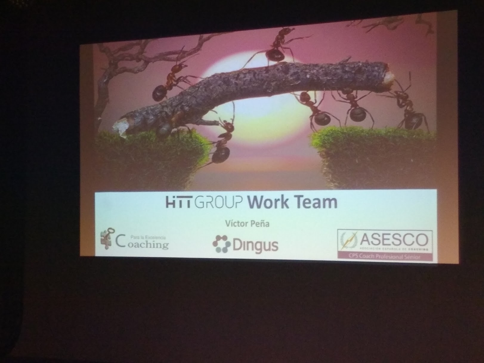 CONVENCIÓN HITTGROUP 2019