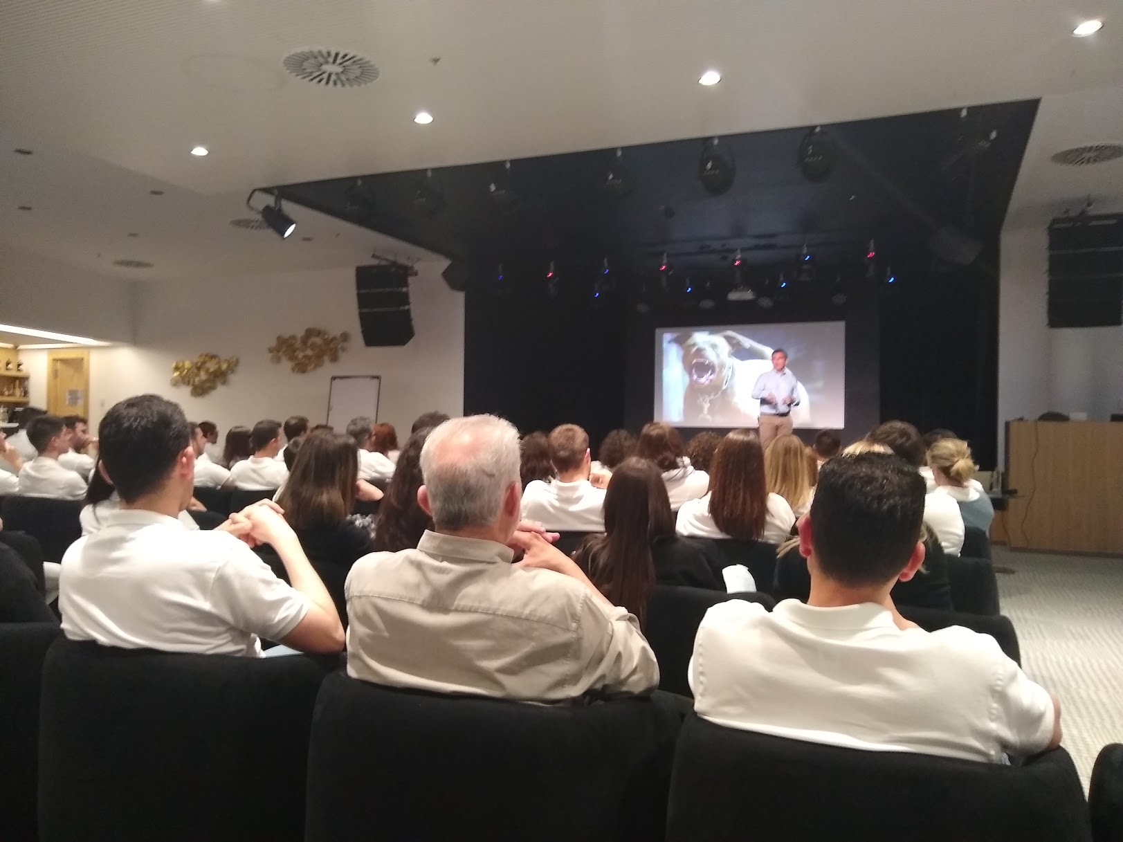 CONVENCIÓN HITTGROUP 2019