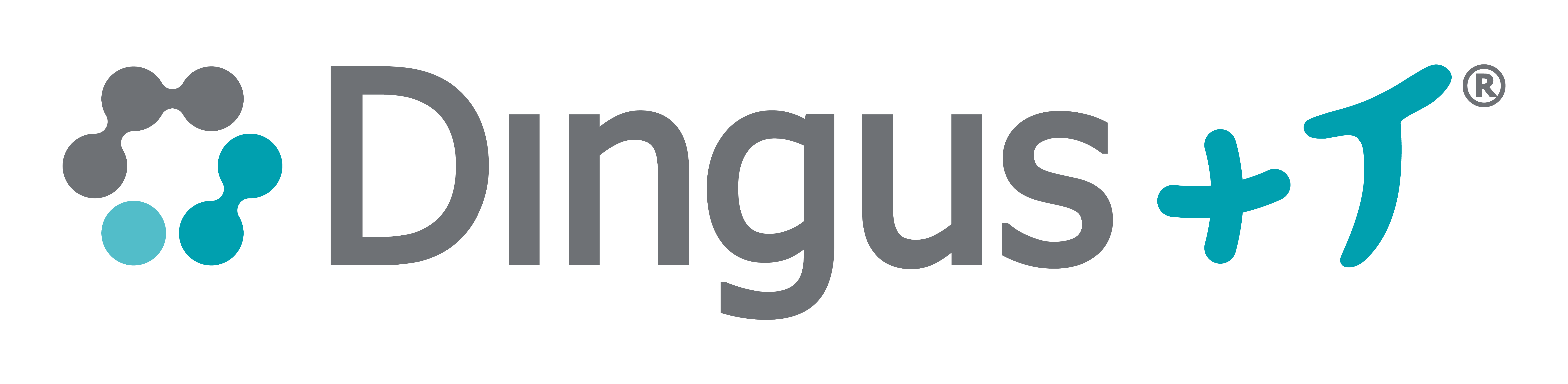 Dingus+T®