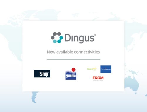 Guamá, Shiji and Karavel Groupe: new Dingus connectivities