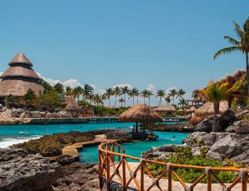 Hito 2025: Dingus roza el centenar de hoteles de Riu conectados