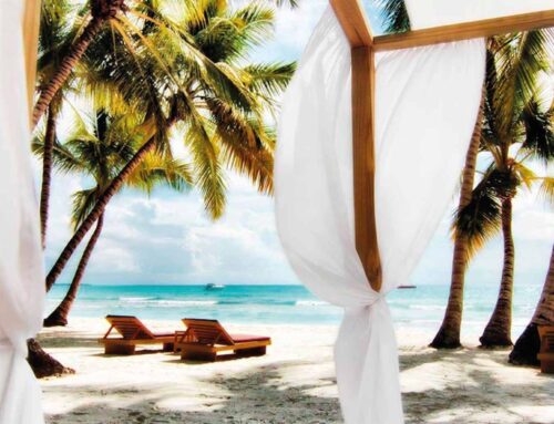 Conectamos a Dingus el quinto hotel de Majestic Resorts